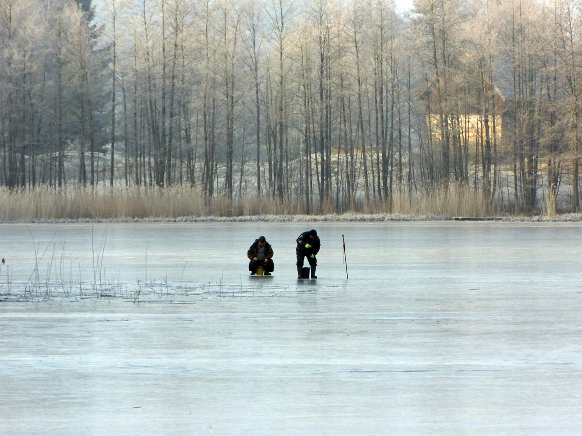 Łowienie ryb spod lodu